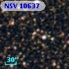 NSV 10637