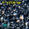 V* V2338 Sgr