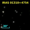 IRAS 01310+4754