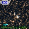 CCDM J18225-2651C