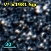 V* V1981 Sgr