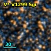 V* V1299 Sgr