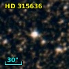 HD 315636