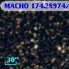 MACHO 174.28974.49