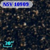 NSV 10809