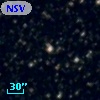 NSV 10996