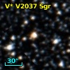 V* V2037 Sgr