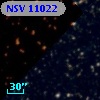 NSV 11022