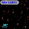 NSV 11072