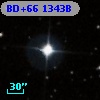 BD+66  1343B