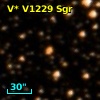 V* V1229 Sgr