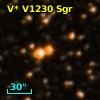 V* V1230 Sgr