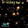 V* V1243 Sgr