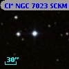 Cl* NGC 7023   SCKM       4
