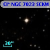 Cl* NGC 7023   SCKM       9