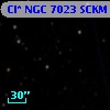 Cl* NGC 7023   SCKM      22
