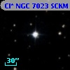 Cl* NGC 7023   SCKM      27