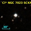 Cl* NGC 7023   SCKM      28