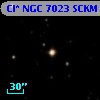 Cl* NGC 7023   SCKM      32