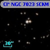 Cl* NGC 7023   SCKM      39
