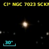 Cl* NGC 7023   SCKM      40