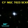 Cl* NGC 7023   SCKM      43
