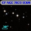 Cl* NGC 7023   SCKM      44