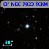 Cl* NGC 7023   SCKM     47