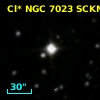Cl* NGC 7023   SCKM      50