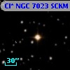 Cl* NGC 7023   SCKM      52