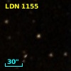 LDN 1155