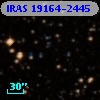 IRAS 19164-2445