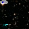 V* V981 Sgr