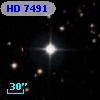 HD   7491