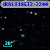 IRAS F19572-2244