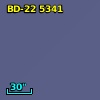 BD-22  5341