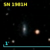 SN 1981H