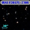 IRAS F20175-2308