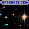 IRAS F20222-2320