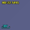 BD-22  5491