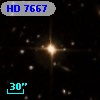 HD   7667