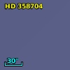 HD 358704