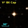 V* BX Cap
