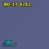 BD-17  4242