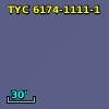 TYC 6174-1111-1