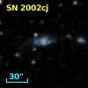 SN 2002cj