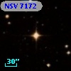 NSV  7172