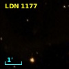 LDN 1177