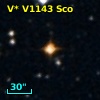 V* V1143 Sco