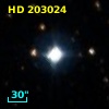 HD 203024